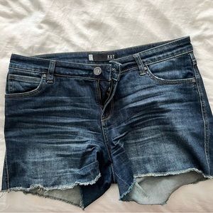 Kut from the Kloth Gidget Fray Cutoff Jean Shorts 8